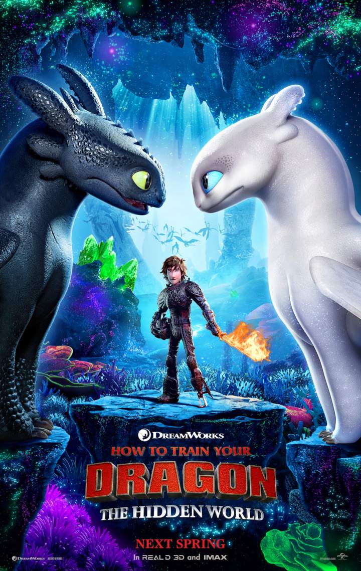 How to Train Your Dragon: The Hidden World (2019) [HC-HDRip]