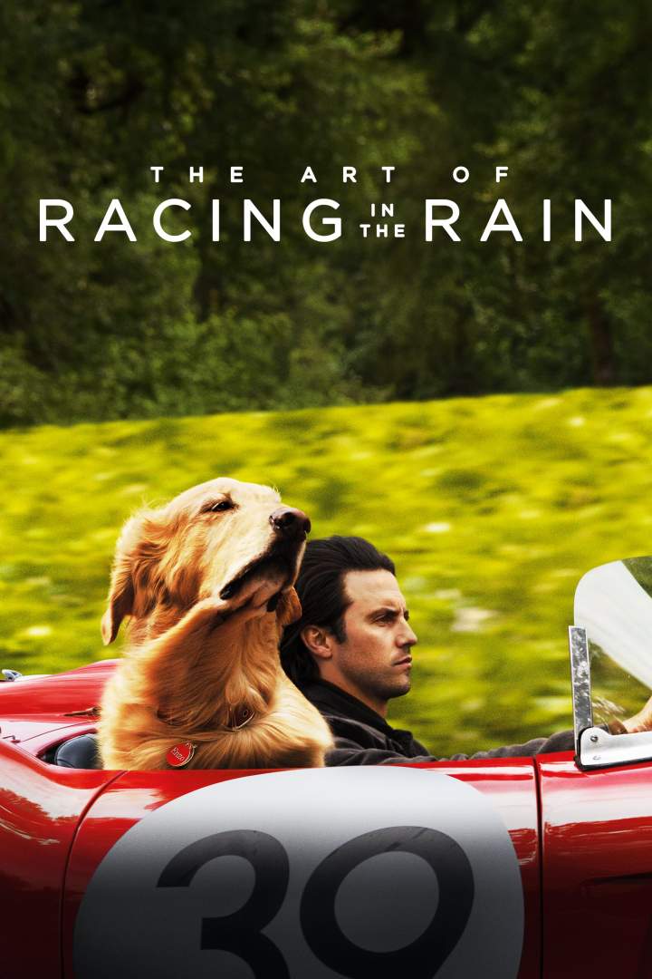 The Art of Racing in the Rain (2019)