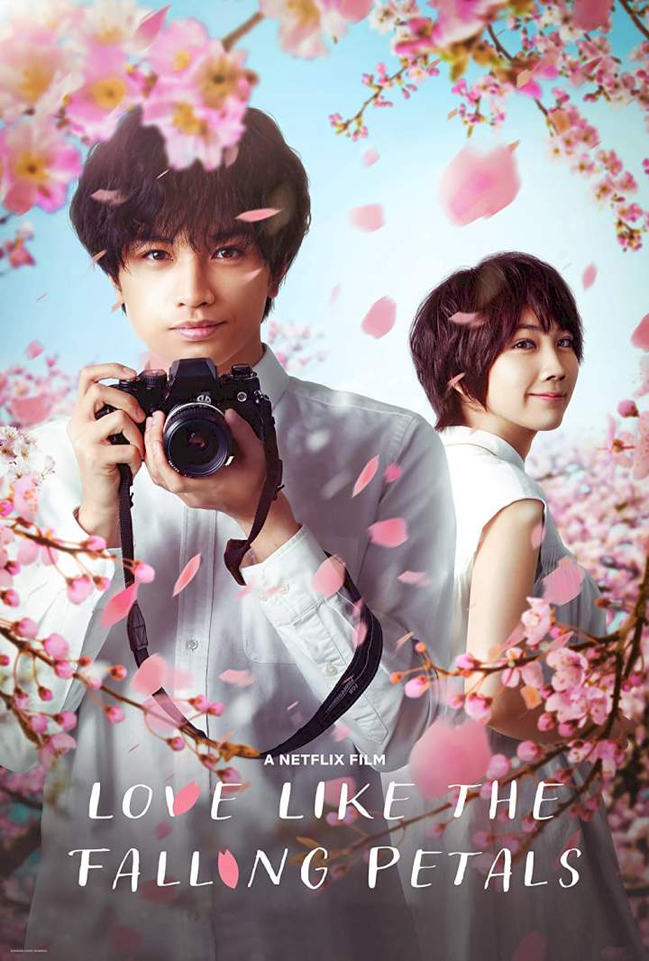 Love Like the Falling Petals (2022) [Japanese]
