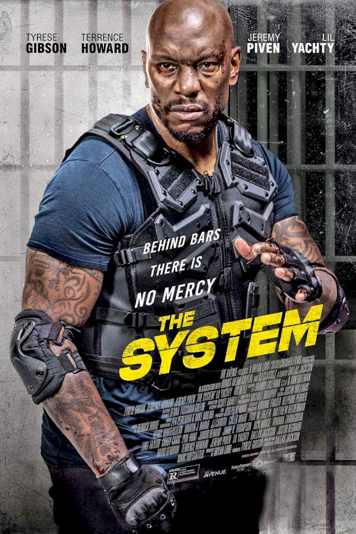 The System [2022] Mp4 Download