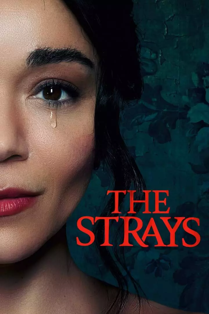 The Strays (2023) Mp4 Download